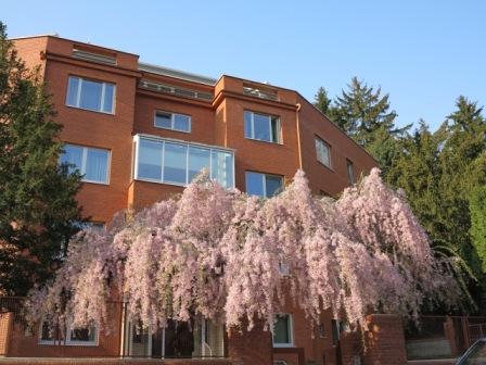 GPN Koch, Pertizánska 27, Bratislava, STREDA od 8:30